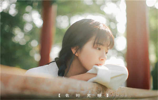 东风胎儿性别鉴定需要多少钱(胎儿性别鉴定的方法)